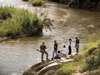 Tinga Narina Lodge - walking safari
